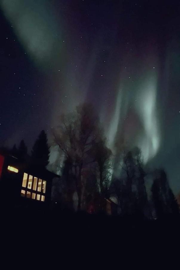 Sorreisa Cosy Cabin In North-Norway, Nearby Senja. מראה חיצוני תמונה
